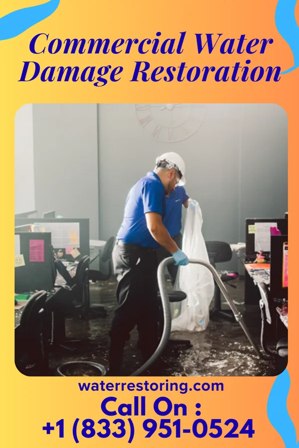 Commercial Water Damage Restoration in Lemon Grove, CA